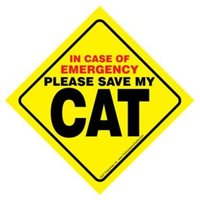 Im Notfall Bitte Speichern Sie Meine Katze Langlebige Kunststoff Hellgelb Leicht Lesen Fenster Schild Saugnapf Hergestellt in Den Usa 4, 5 "x 4, 5" Im Notfall Bitte Speichern Sie Meine Katze Langlebige Kunststoff Hellgelb Leicht Lesen Fenster Schild Saugnapf Hergestellt in Den Usa 4, 5 "x 4, 5" von signsandstuffaz