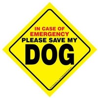 Im Notfall Retten Sie Bitte Meinen Hund Langlebiger Kunststoff Hellgelb Leicht Lesbares Fensterschild Saugnapf Hergestellt in Den Usa 11, 5 X cm von signsandstuffaz