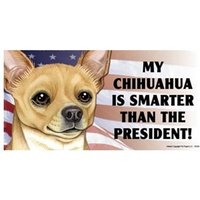 Mein Chihuahua Ist Schlauer Als Der Präsident Lustiger Magnet Auto-Kühlschrank Jede Metalloberfläche Wasserdicht Uv-Beständig Hergestellt in Den von signsandstuffaz