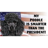 My Pudel Schwarz Ist Schlauer Als Der Präsident Magnet Auto-Kühlschrank Alle Metalloberflächen Wasserdicht Uv-Beständig Made in Usa 4 "x 8" von signsandstuffaz