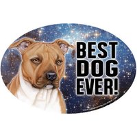 Pitbull | Braun/Weiß Bester Hund Aller Zeiten Galaxy Oval Dog Magnet Auto Kühlschrank Jede Metalloberfläche Wasserdicht Uv-Beständig Hergestellt von signsandstuffaz