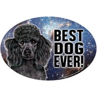 Pudel | Schwarz Bester Hund Aller Zeiten Galaxy Design Oval Magnet Auto Kühlschrank Jede Metalloberfläche Wasserdicht Uv Beständig Made in Usa von signsandstuffaz