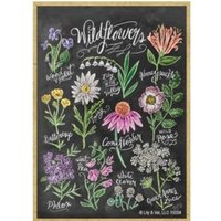 Wildblumen Mit Namen Kreide Art Look Bunte Holz Magnet Kühlschrank Schließfach Jede Metalloberfläche Hergestellt in Den Usa 2, 5 "x 3, 5" von signsandstuffaz