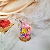 Mini Ewige Rose Glaskuppel, Konservierte Blume Geschenk, Geschenk Für Sie, Valentinstag, Muttertagsgeschenk, Forever Rose, Pf-003 Mini Ewige Rose Glaskuppel, Konservierte Blume Geschenk, Geschenk Für Sie, Valentinstag, Muttertagsgeschenk, Forever Rose, Pf-003 von silverbreeze