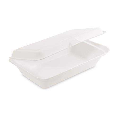 50x Bio Take Away Box weiß 250 x 162 x 63 mm aus Zuckerrohr | nachhaltige To Go Lunchbox Essensbox mit Deckel | Lebensmittel Behälter Einweg | kompostierbar auslaufsicher von silverkitchen