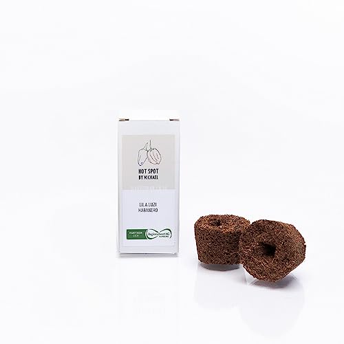 simplePlant, Hot Spot, simpleCups, 100% kompostierbare Wachstumsschwämme, Bio-Pflanzen für Hydroponisches Anzuchtsystem, 2 Pflanzen von simplePlant