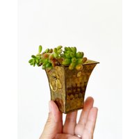 Mini Blumenvase Aus Messing Spitz Zulaufend Topf von simplychi