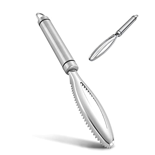 Fischschupper, 304 Edelstahl Fachmann Fischschaber, Küchenhelfer Fish Scaler Scraper, Fisch Entschupper von sinzau