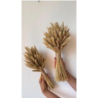 Getrockneter Weizenstrauß Trockenblumenstrauß Bündel Rustikale Brautstrauß Hochzeit Getrockneter Weizenstrauß Trockenblumenstrauß Bündel Rustikale Brautstrauß Hochzeit von sistersdekor