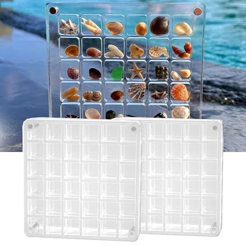 2 Stücke Seashell Storage Box, Magnetische Muschel-Vitrine Aus Acryl, Acrylic Seashell Storage Box,Magnetic Seashell Display Box Fachbehälter für Perlen, Schmuck (36/64 Quadrate) von sitengjun