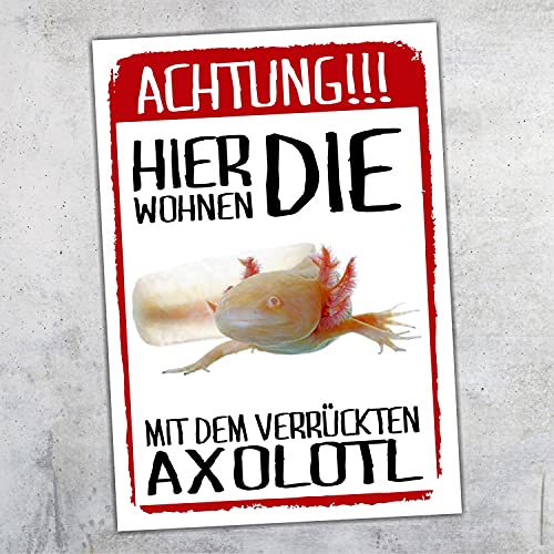 Achtung Axolotl hier wohnen Schild lustig mit Spruch Türschild Warnschild Fun Metallschild Molch von siviwonder