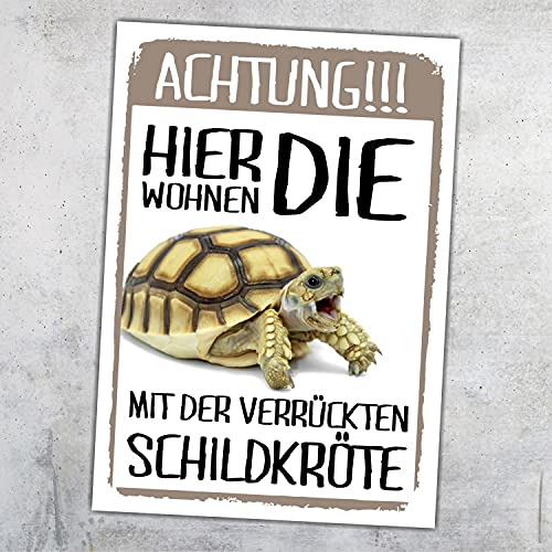 Siviwonder Metallschild 'Achtung Schildkröte hier wohnen' - Türschild, Gartenzaunschild, 20cm x 14cm x 0.3cm, Aluminium Siviwonder Metallschild 'Achtung Schildkröte hier wohnen' - Türschild, Gartenzaunschild, 20cm x 14cm x 0.3cm, Aluminium von siviwonder