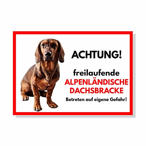 Alpenländische Dachsbracke Freilaufender Hund Dog Schild Spruch Türschild Hundeschild Warnschild Geschenkidee Sicherheitsschild Hund Privatgrundstück Hundewarnung Warnung vor dem Hund von siviwonder