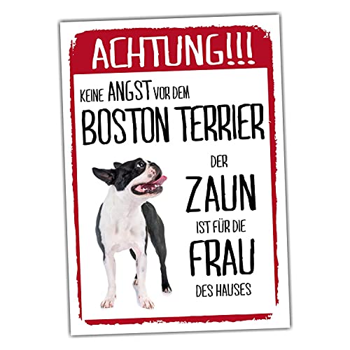 Boston Terrier Schild Achtung Zaun Frau Spruch Türschild Hundeschild Warnschild Fun von siviwonder