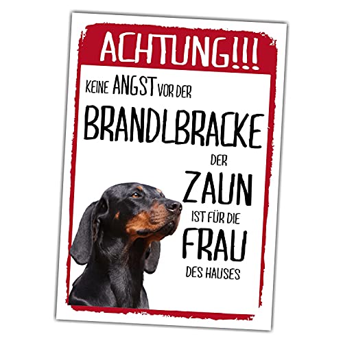 Brandlbracke Schild Achtung Zaun Frau Spruch Türschild Hundeschild Warnschild Geschenkidee lustiger Spruch Hundemotiv Aluminium Wetterfestes Hundeschild von siviwonder