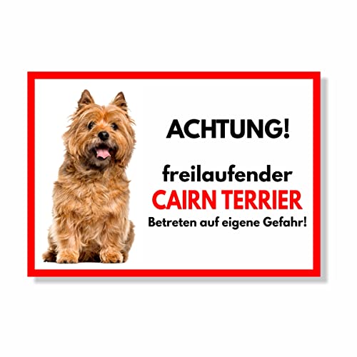 Cairn Terrier Hell Freilaufender Hund Dog Schild Spruch Türschild Hundeschild Warnschild Geschenkidee Sicherheitsschild Hund Privatgrundstück Hundewarnung Warnung vor dem Hund von siviwonder