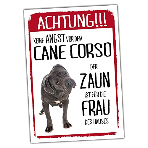 Cane Corso Schild Achtung Zaun Frau Spruch Türschild Hundeschild Warnschild Geschenkidee lustiger Spruch Hundemotiv Aluminium Wetterfestes Hundeschild von siviwonder