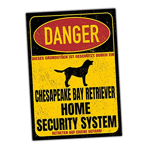 Chesapeake Bay Retriever Dog Schild Danger Security System Türschild Hundeschild Warnschild Sicherheitsschild Hund Privatgrundstück Hundewarnung Warnung vor dem Hund von siviwonder