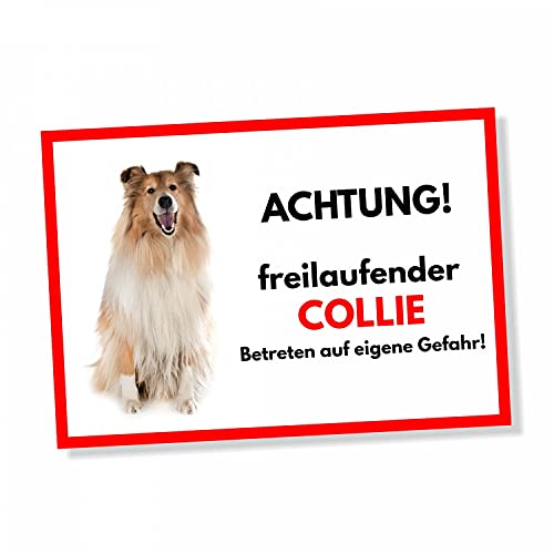Collie Freilaufender Hund Dog Schild Spruch Türschild Hundeschild Warnschild Geschenkidee Sicherheitsschild Hund Privatgrundstück Hundewarnung Warnung vor dem Hund von siviwonder