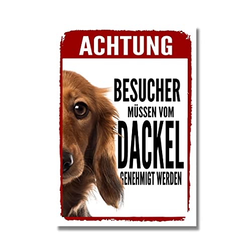 Dackel 1 Genehmigung Dog Schild Spruch Türschild Hundeschild Warnschild Teckel von siviwonder