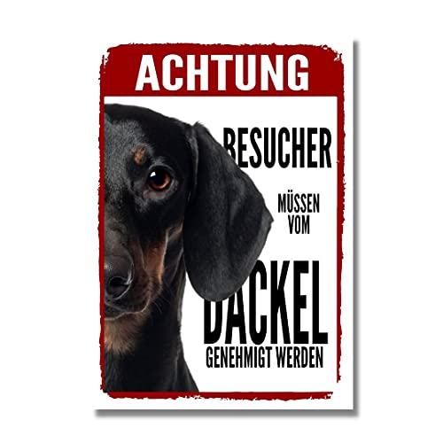 Dackel 2 Genehmigung Dog Schild Spruch Türschild Hundeschild Warnschild Teckel von siviwonder