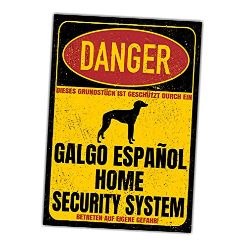 Galgo Espanol Schild Danger Security System Türschild Hundeschild Warnschild Schild Hund Sicherheitsschild Hund Privatgrundstück Hundewarnung Warnung vor dem Hund von siviwonder