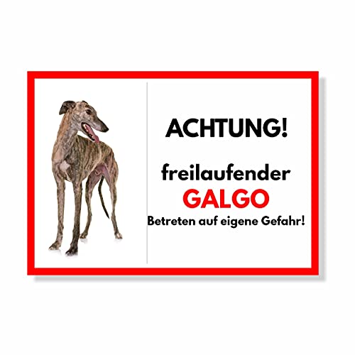Galgo Freilaufender Hund Dog Schild Spruch Türschild Hundeschild Warnschild Geschenkidee Sicherheitsschild Hund Privatgrundstück Hundewarnung Warnung vor dem Hund Galgo Freilaufender Hund Dog Schild Spruch Türschild Hundeschild Warnschild Geschenkidee Sicherheitsschild Hund Privatgrundstück Hundewarnung Warnung vor dem Hund von siviwonder
