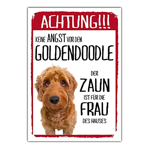 Goldendoodle Dog Schild Achtung Zaun Frau Spruch Türschild Hundeschild Warnschild Geschenkidee lustiger Spruch Hundemotiv Aluminium Wetterfestes Hundeschild von siviwonder