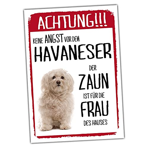 Havaneser Dog Schild Achtung Zaun Frau Spruch Türschild Hundeschild Warnschild Geschenkidee lustiger Spruch Hundemotiv Aluminium Wetterfestes Hundeschild Havaneser Dog Schild Achtung Zaun Frau Spruch Türschild Hundeschild Warnschild Geschenkidee lustiger Spruch Hundemotiv Aluminium Wetterfestes Hundeschild von siviwonder
