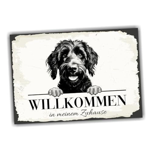 siviwonder Hundeschild Willkommen Zuhause Goldendoodle Doodle No.2 Dog Schild Spruch Türschild Warnschild Geschenkidee schöner Spruch Hundemotiv Aluminium Wetterfestes Hundeschild siviwonder Hundeschild Willkommen Zuhause Goldendoodle Doodle No.2 Dog Schild Spruch Türschild Warnschild Geschenkidee schöner Spruch Hundemotiv Aluminium Wetterfestes Hundeschild von siviwonder