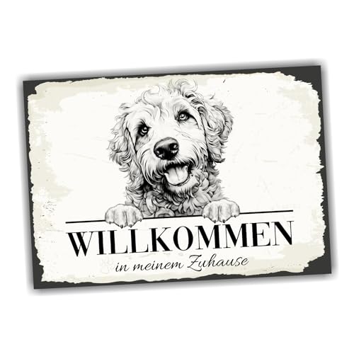 siviwonder Hundeschild Willkommen Zuhause Labradoodle Doodle No.3 Dog Schild Spruch Türschild Warnschild Geschenkidee schöner Spruch Hundemotiv Aluminium Wetterfestes Hundeschild siviwonder Hundeschild Willkommen Zuhause Labradoodle Doodle No.3 Dog Schild Spruch Türschild Warnschild Geschenkidee schöner Spruch Hundemotiv Aluminium Wetterfestes Hundeschild von siviwonder
