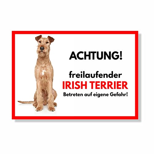 Irish Terrier Freilaufender Hund Dog Schild Spruch Türschild Hundeschild Warnschild Geschenkidee Sicherheitsschild Hund Privatgrundstück Hundewarnung Warnung vor dem Hund von siviwonder