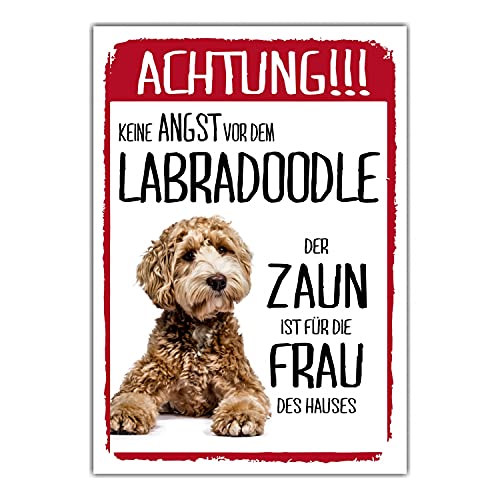 Labradoodle Dog Schild Achtung Zaun Frau Spruch Türschild Hundeschild Warnschild Geschenkidee lustiger Spruch Hundemotiv Aluminium Wetterfestes Hundeschild von siviwonder