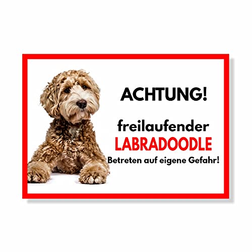 Labradoodle Freilaufender Hund Dog Schild Spruch Türschild Hundeschild Warnschild von siviwonder