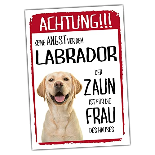 Labrador Dog Schild Achtung Zaun Frau Spruch Türschild Hundeschild Warnschild Geschenkidee lustiger Spruch Hundemotiv Aluminium Wetterfestes Hundeschild Labrador Dog Schild Achtung Zaun Frau Spruch Türschild Hundeschild Warnschild Geschenkidee lustiger Spruch Hundemotiv Aluminium Wetterfestes Hundeschild von siviwonder