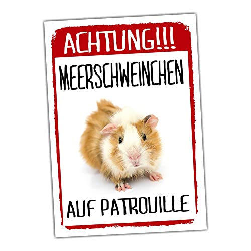 Meerschweinchen auf Patrouille Schild lustig Spruch Türschild Warnschild Fun Metallschild von siviwonder