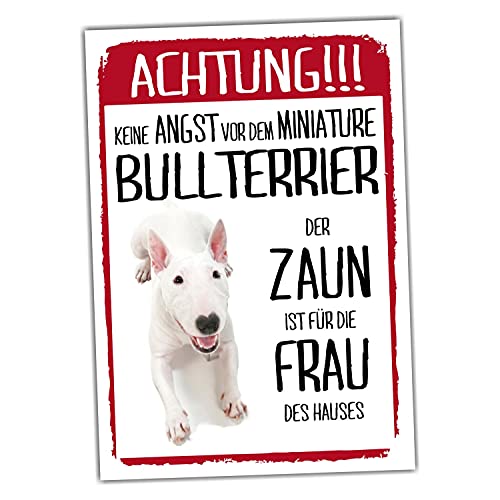 Miniature Bullterrier Dog Schild Achtung Zaun Frau Spruch Türschild Hundeschild Warnschild Geschenkidee lustiger Spruch Hundemotiv Aluminium Wetterfestes Hundeschild von siviwonder