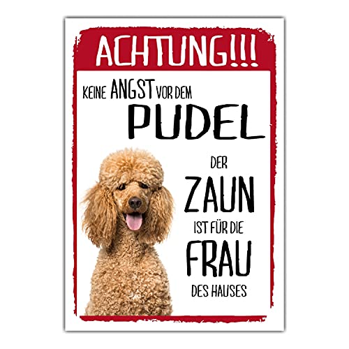 Pudel Apricot Dog Schild Achtung Zaun Frau Spruch Türschild Hundeschild Warnschild Geschenkidee lustiger Spruch Hundemotiv Aluminium Wetterfestes Hundeschild von siviwonder