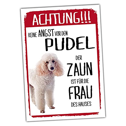 Pudel Weiss Dog Schild Achtung Zaun Frau Spruch Türschild Hundeschild Warnschild Fun von siviwonder