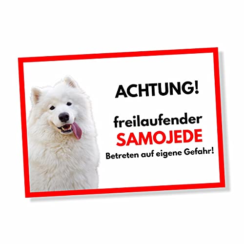 Samojede Freilaufender Hund Dog Schild Spruch Türschild Hundeschild Warnschild Geschenkidee Sicherheitsschild Hund Privatgrundstück Hundewarnung Warnung vor dem Hund von siviwonder