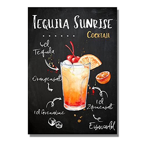 Schild Tequila Sunrise Cocktail Rezept Bar Party Keller Deko Türschild Hinweisschild Warnschild Fun von siviwonder