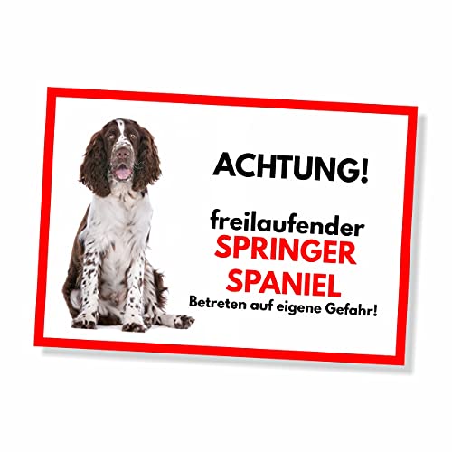 Springer Spaniel Freilaufender Hund Dog Schild Spruch Türschild Hundeschild Warnschild Geschenkidee Sicherheitsschild Hund Privatgrundstück Hundewarnung Warnung vor dem Hund von siviwonder