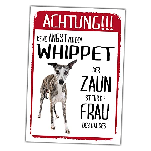 Whippet Dog Schild Achtung Zaun Frau Spruch Türschild Hundeschild Warnschild Geschenkidee lustiger Spruch Hundemotiv Aluminium Wetterfestes Hundeschild von siviwonder