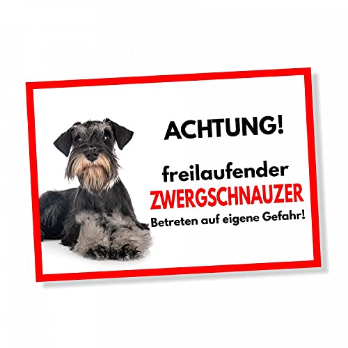 Zwergschnauzer Freilaufender Hund Dog Schild Spruch Türschild Hundeschild Warnschild Geschenkidee Sicherheitsschild Hund Privatgrundstück Hundewarnung Warnung vor dem Hund von siviwonder