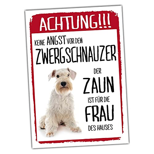 Zwergschnauzer Weiss Dog Schild Achtung Zaun Frau Spruch Türschild Hundeschild Warnschild Geschenkidee lustiger Spruch Hundemotiv Aluminium Wetterfestes Hundeschild von siviwonder