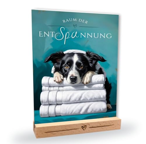 siviwonder Hundeschild Border Collie Entspannung Dog Schild Deko Badezimmer Holzständer Hund Geschenkidee lustiger Spruch Hundemotiv Aluminium Wetterfestes Hundeschild siviwonder Hundeschild Border Collie Entspannung Dog Schild Deko Badezimmer Holzständer Hund Geschenkidee lustiger Spruch Hundemotiv Aluminium Wetterfestes Hundeschild von siviwonder