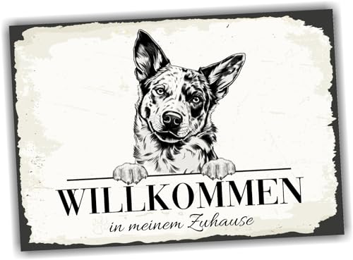 siviwonder Hundeschild Willkommen Zuhause Australian Cattle Dog No.2 Dog Schild Spruch Türschild Warnschild Geschenkidee schöner Spruch Hundemotiv Aluminium Wetterfestes Hundeschild von siviwonder