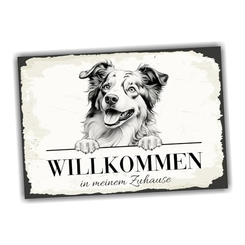 siviwonder Hundeschild Willkommen Zuhause Australian Shepherd Aussie No.3 Dog Schild Spruch Türschild Warnung Geschenkidee schöner Spruch Hundemotiv Aluminium Wetterfestes Hundeschild von siviwonder