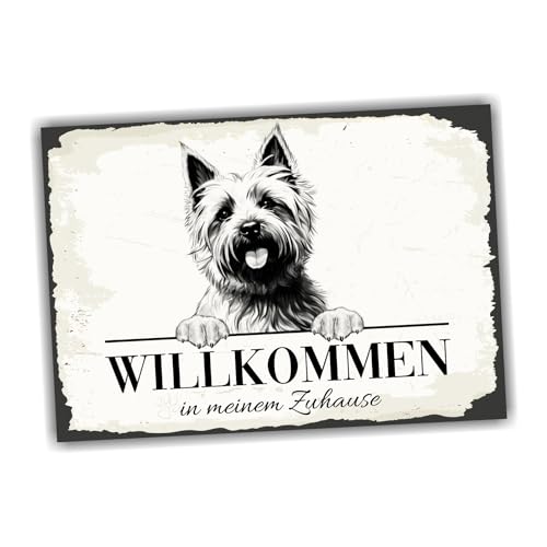siviwonder Hundeschild Willkommen Zuhause Cairn Terrier Kern No.1 Dog Schild Spruch Türschild Warnschild Geschenkidee schöner Spruch Hundemotiv Aluminium Wetterfestes Hundeschild von siviwonder