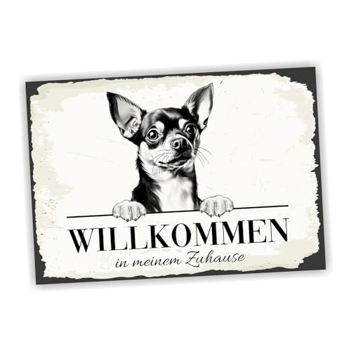 siviwonder Hundeschild Willkommen Zuhause Chihuahua No.2 Dog Schild Spruch Türschild Warnschild Chis Chi Geschenkidee schöner Spruch Hundemotiv Aluminium Wetterfestes Hundeschild von siviwonder